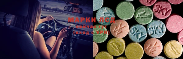 a pvp Вязьма