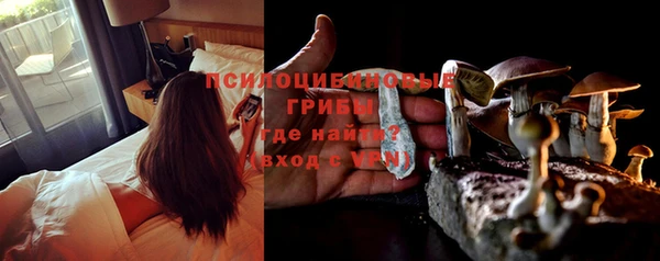 a pvp Вязьма