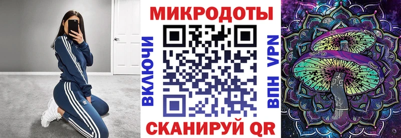 Псилоцибиновые грибы Psilocybe  Любим 